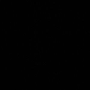 Meet your Posher, Natasha